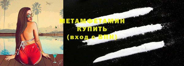 трава Сясьстрой
