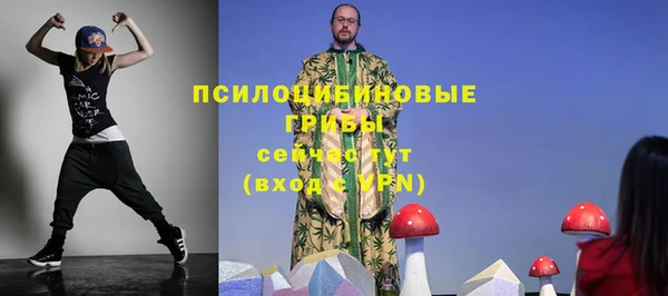 трава Сясьстрой