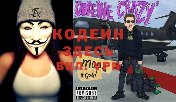 трава Сясьстрой