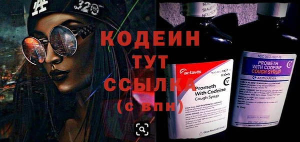 трава Сясьстрой