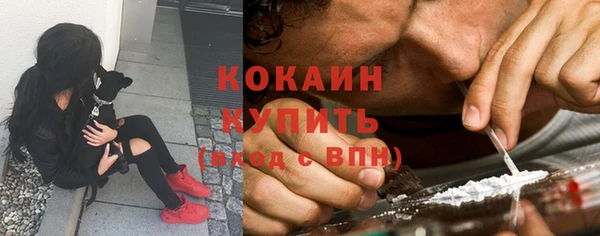 трава Сясьстрой