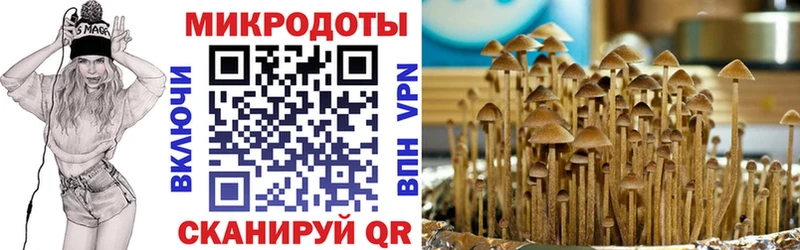 цена   Корсаков  ОМГ ОМГ как войти  shop клад  Галлюциногенные грибы MAGIC MUSHROOMS 